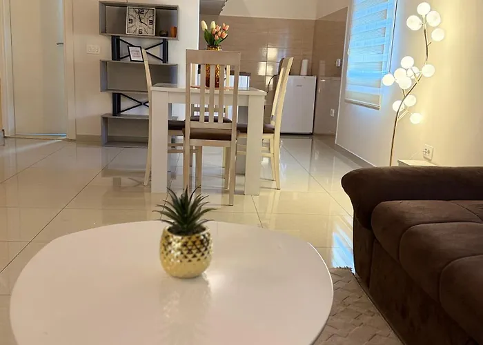 Stijepovic * Podgorica